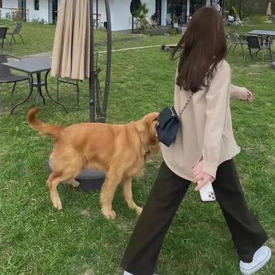 布劳涅森林的女人们